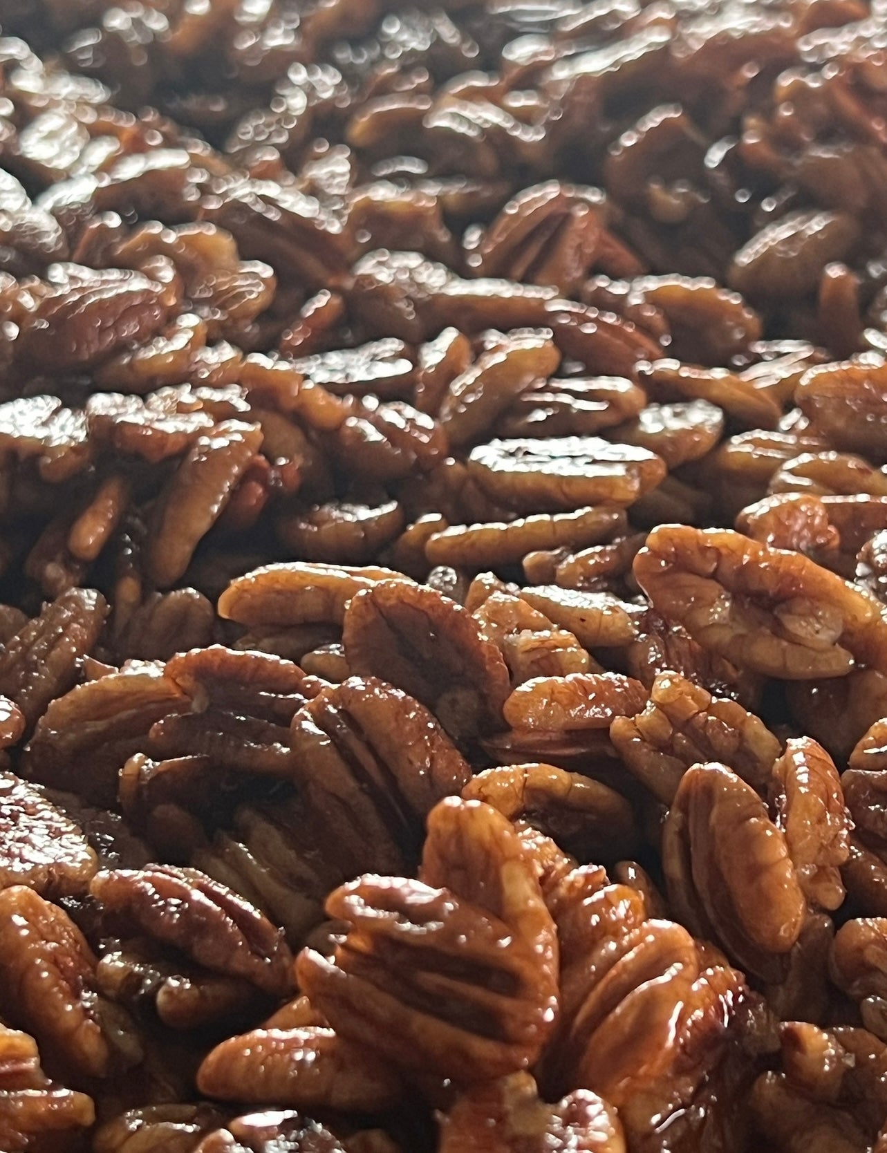 Activated Native Pecans, Sea Salt 5 LBS ($0.87/OZ)